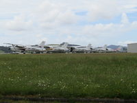 Ardmore Airport - club grass apron - by magnaman