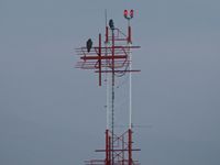 Boise Air Terminal/gowen Fld Airport (BOI) - The fake owl on top always seems to draw company. - by Gerald Howard