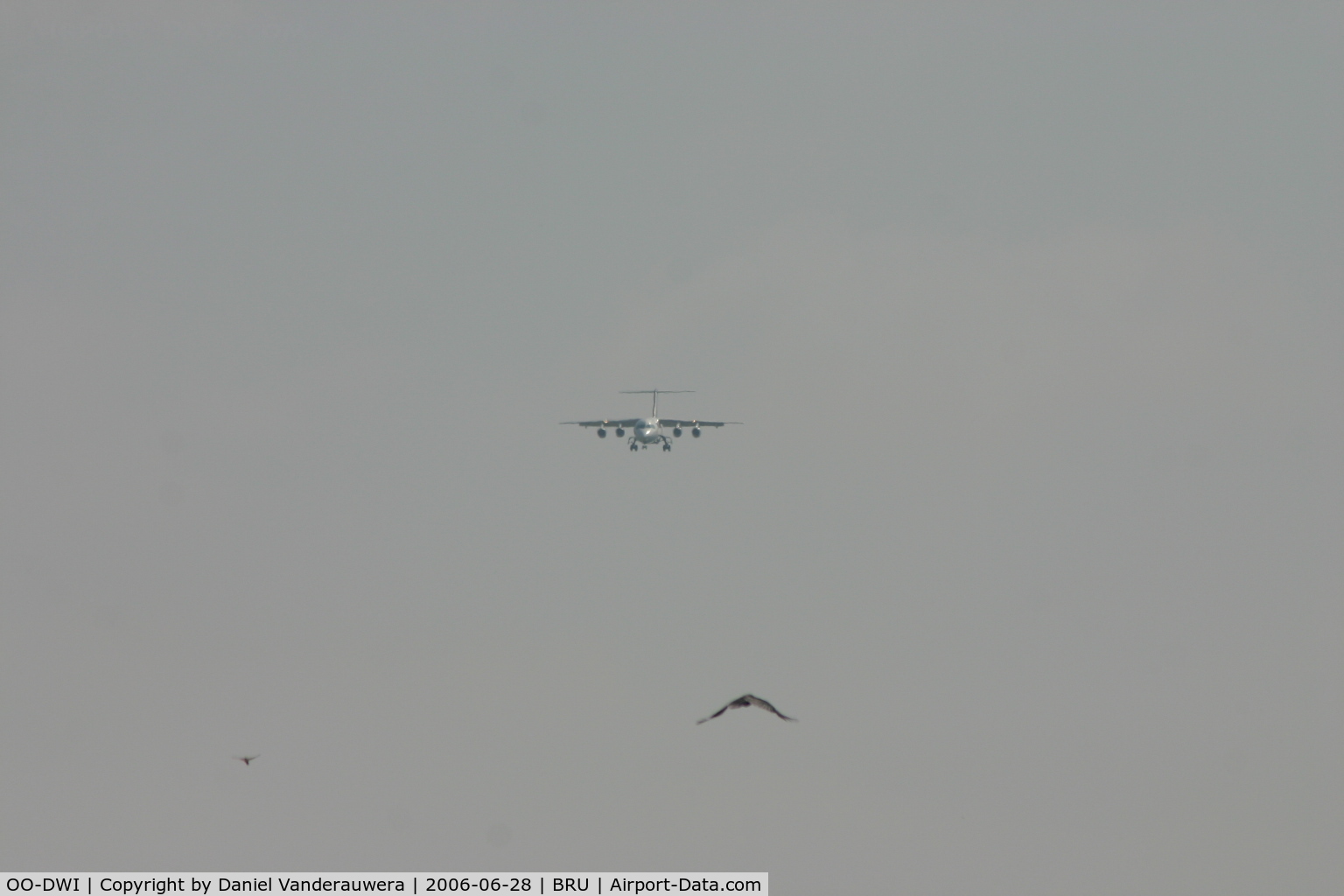 OO-DWI, 1999 British Aerospace Avro 146-RJ100 C/N E3342, arrival of OO-DWI with birds flying close to rwy 25L