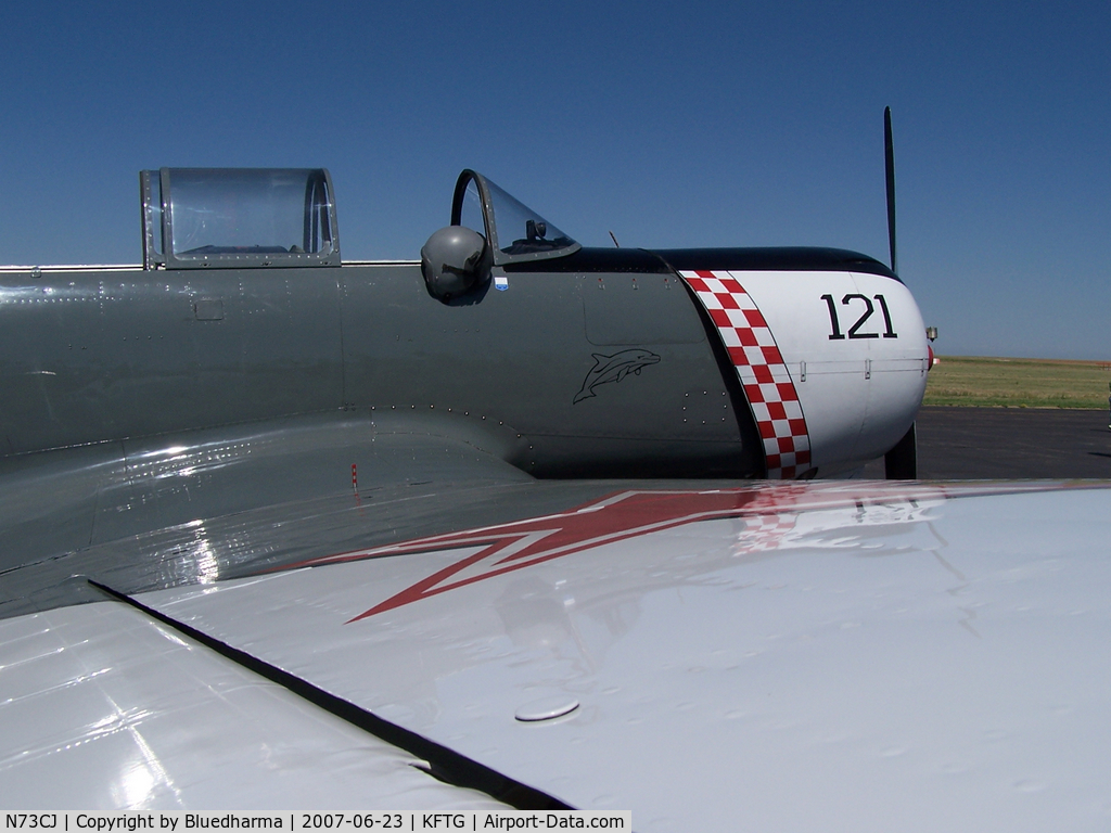 N73CJ, 1973 Nanchang CJ-6A C/N 2951231, Starboard Wing Detail