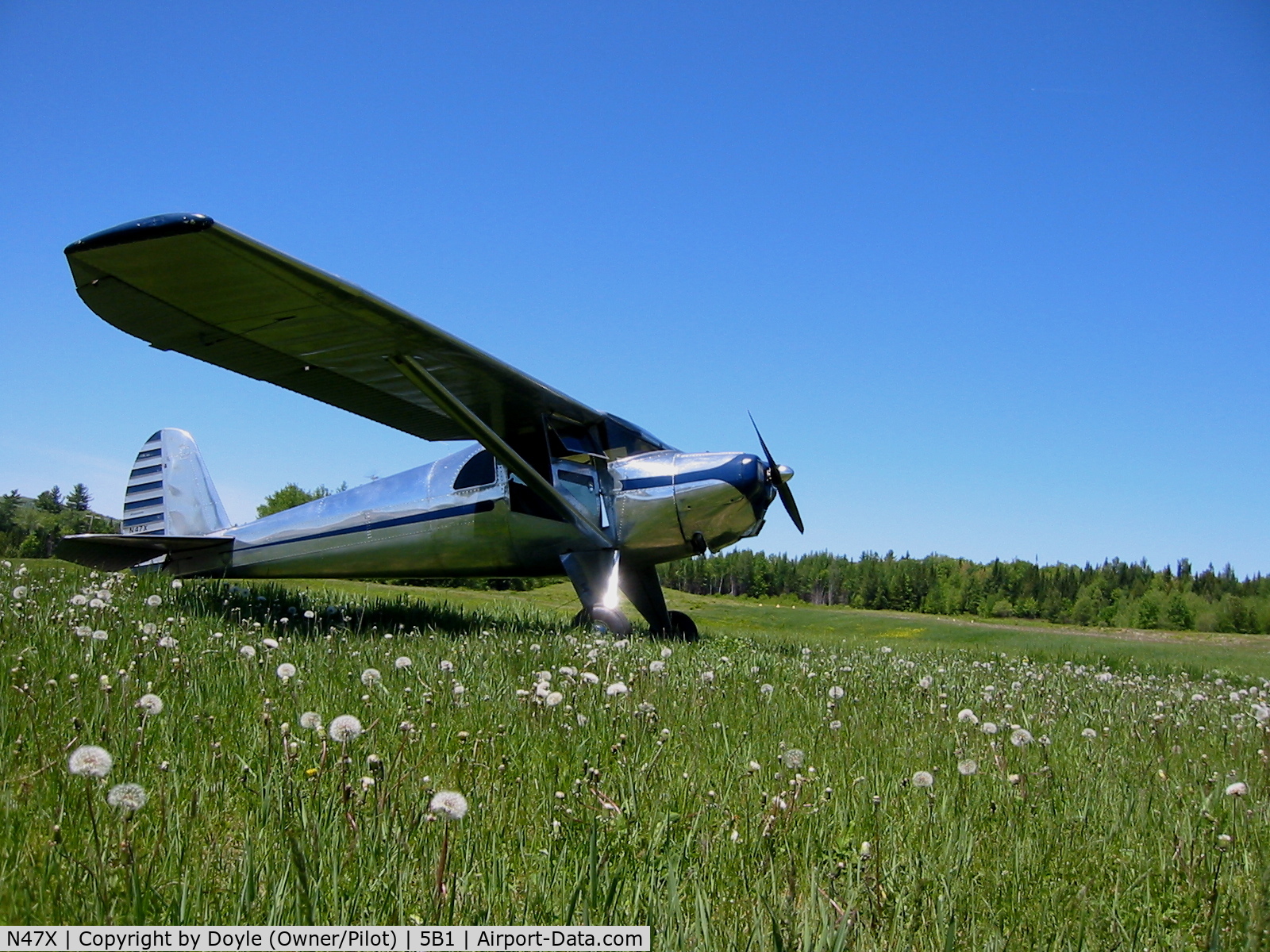 N47X, 1947 Luscombe 8E Silvaire C/N 4999, 47X on the grass @ Island Pond VT