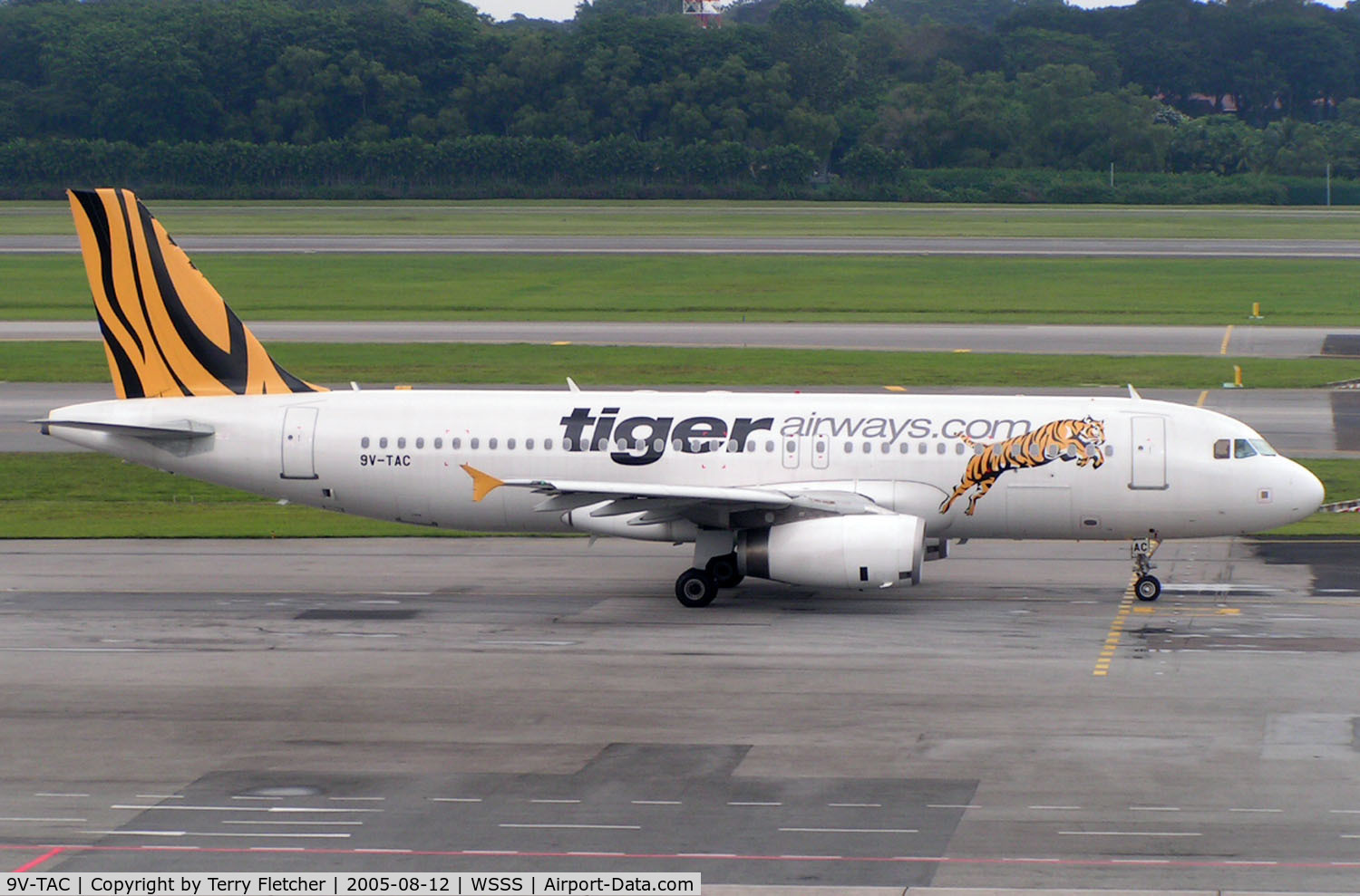 9V-TAC, 2004 Airbus A320-232 C/N 2331, Tiger Airways A320 taxies in at Singapore Changi