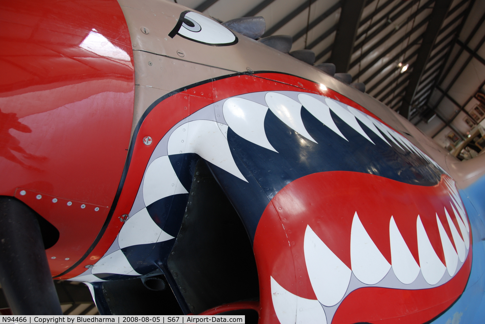 N94466, 1942 Curtiss P-40E C/N AK-899, Flying Tiger Front view. On display at the Warhawk Air Museum.