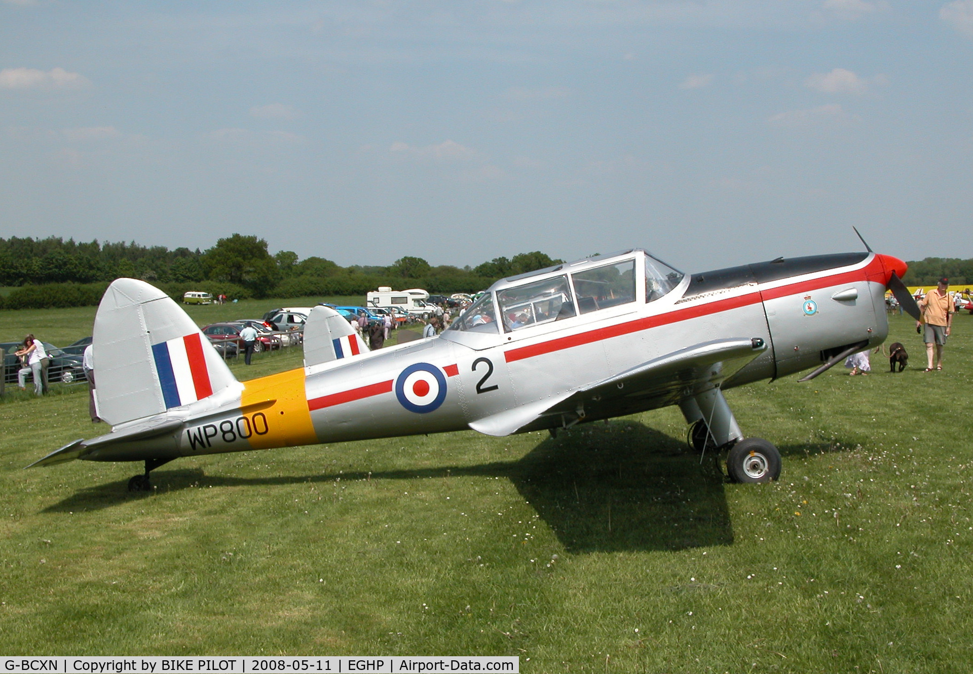 G-BCXN, 1952 De Havilland DHC-1 Chipmunk T.10 C/N C1/0692, AVIATION ARTIST MICHAEL TURNER'S CHIPPY AT THE DEHAVILLAND FLY-IN 2008