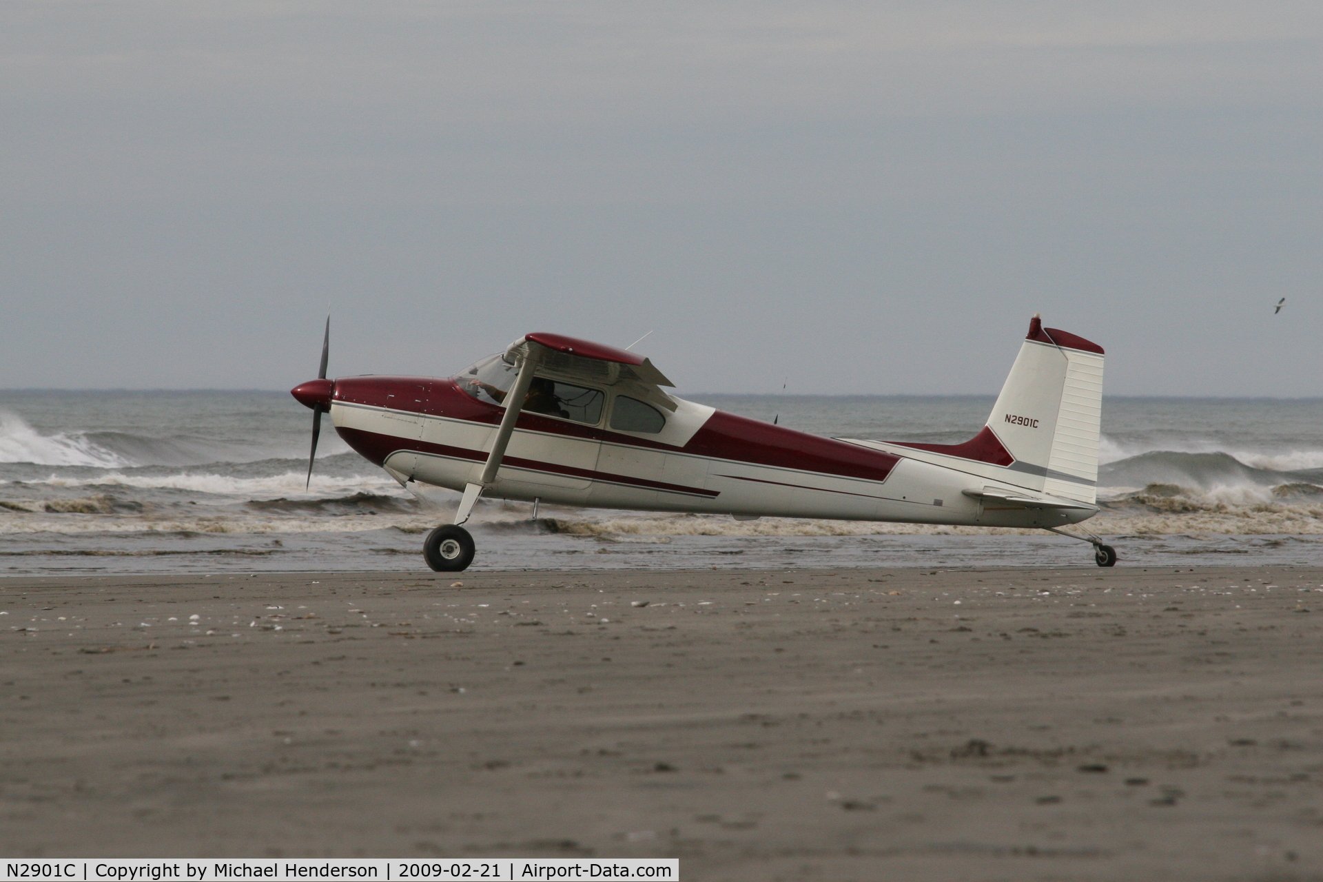 N2901C, 1954 Cessna 180 C/N 30801, Take off at Copalis Beach, WA