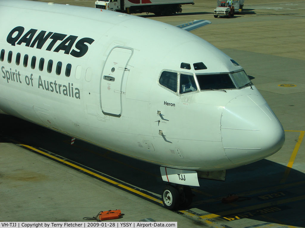 VH-TJJ, 1990 Boeing 737-476 C/N 24435, Qantas B737 named Heron