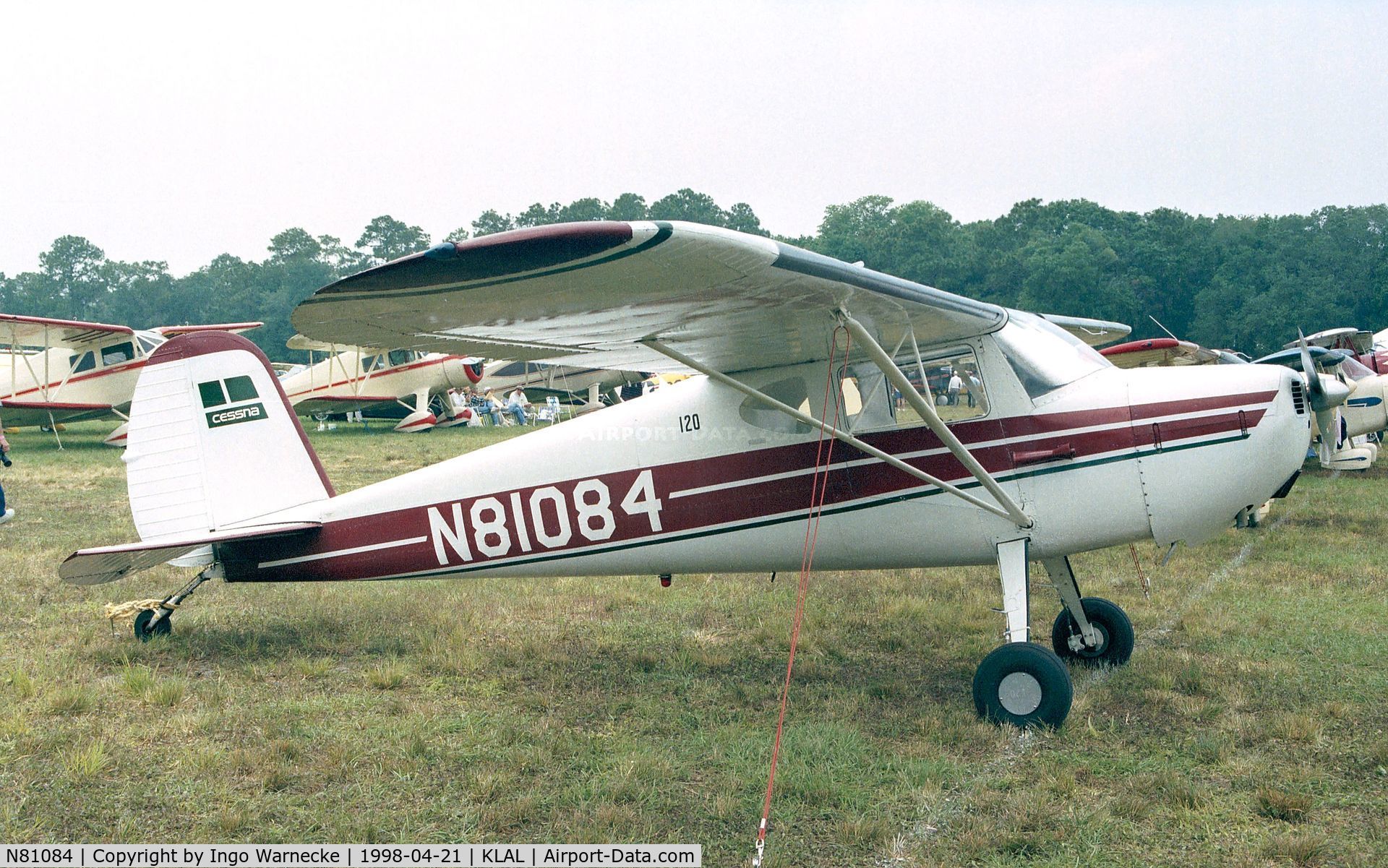 N81084, 1946 Cessna 120 C/N 10378, Cessna 120 at Sun 'n Fun 1998, Lakeland FL
