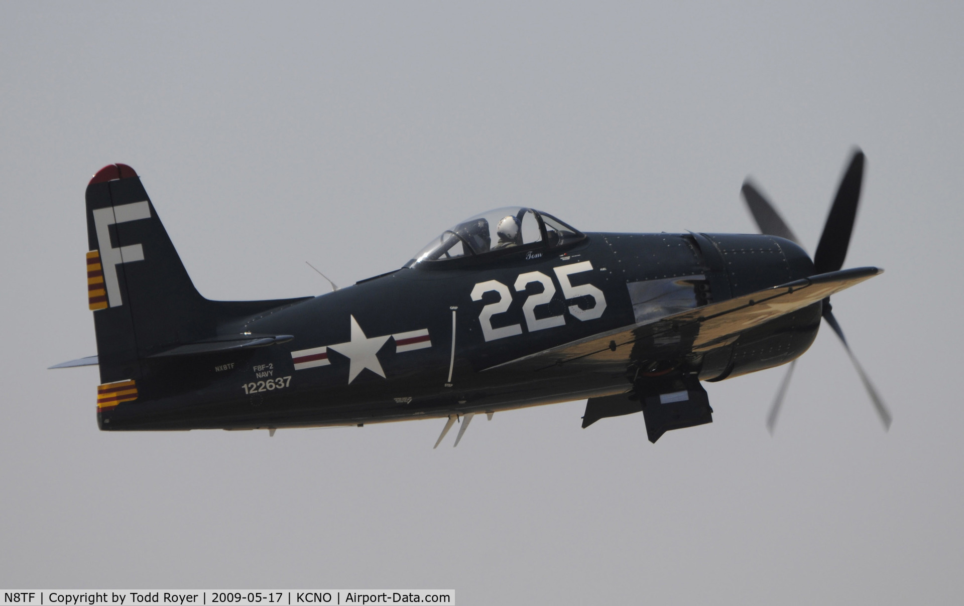 N8TF, 1948 Grumman F8F-2 (G58) Bearcat C/N D.1190, Chino Airshow 2009