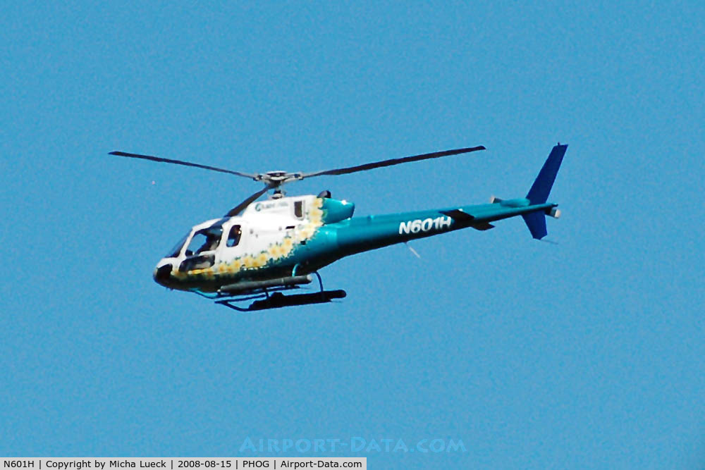 N601H, 1993 Eurocopter AS-350BA Ecureuil C/N 2733, At Maui