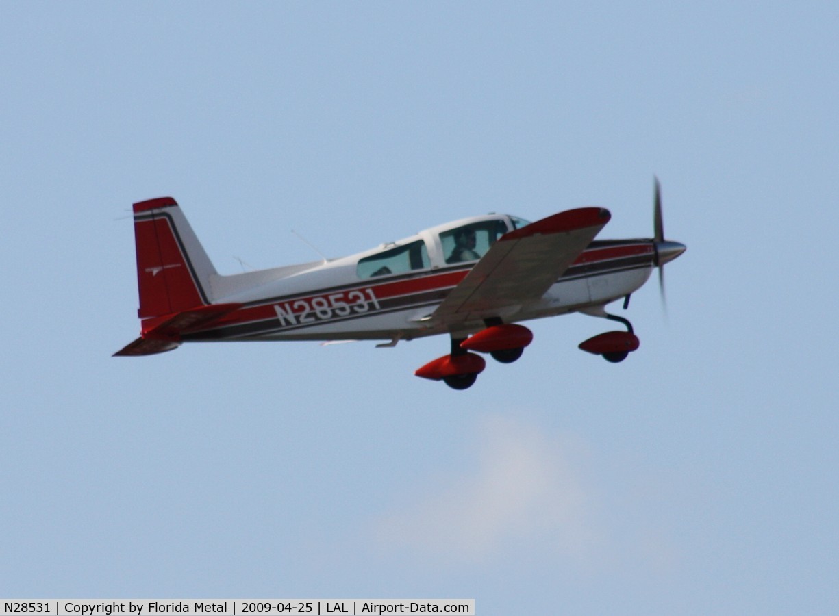 N28531, 1977 Grumman American AA-5B Tiger C/N AA5B0661, Grumman AA-5B