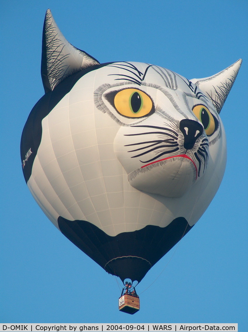 D-OMIK, 1992 Schroeder Fire Balloons Katze C/N 305, Nice cat