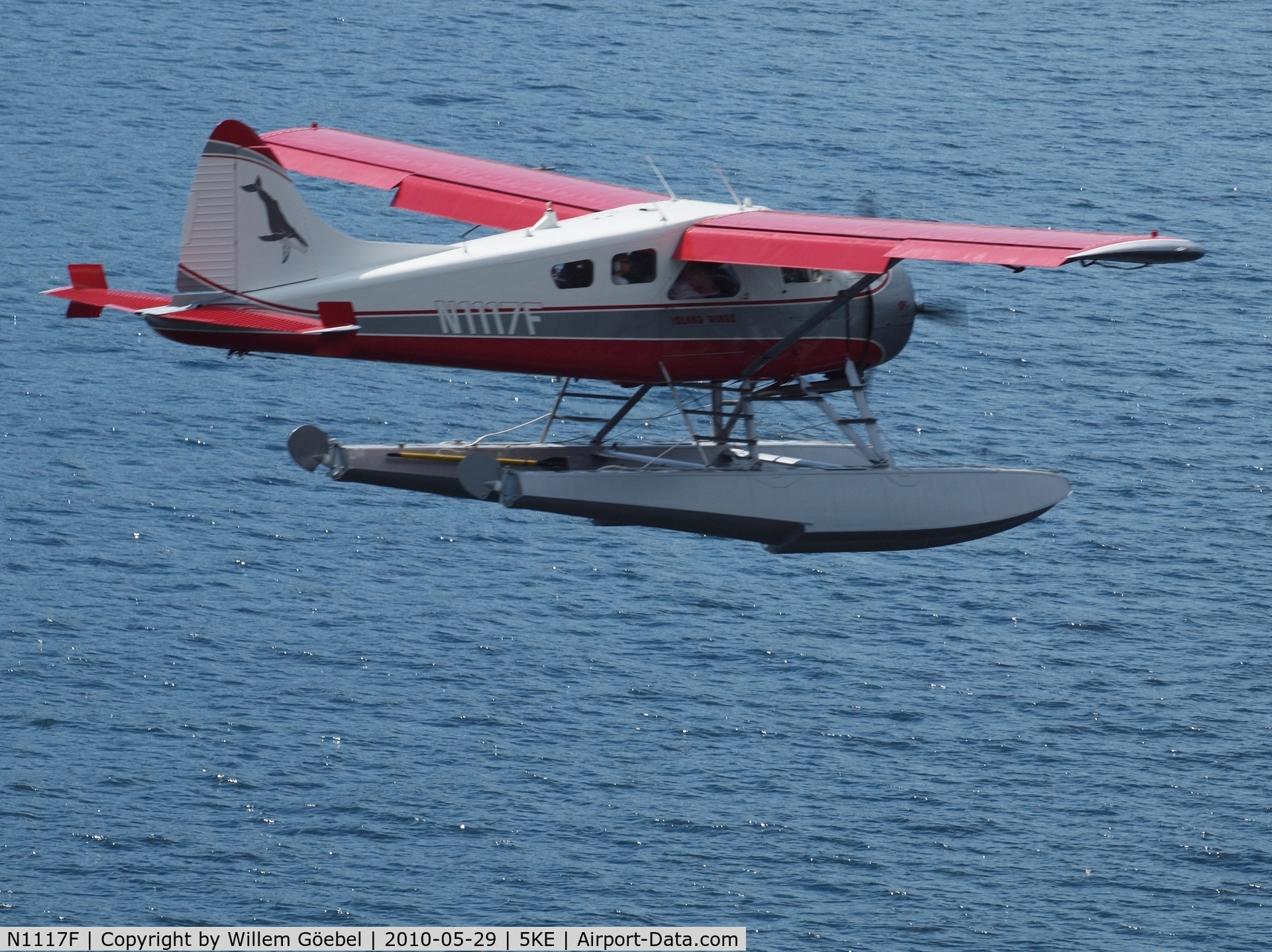 N1117F, 1958 De Havilland Canada DHC-2 Beaver Mk.1 C/N 1369, The picture is taken from the MV Statendam
