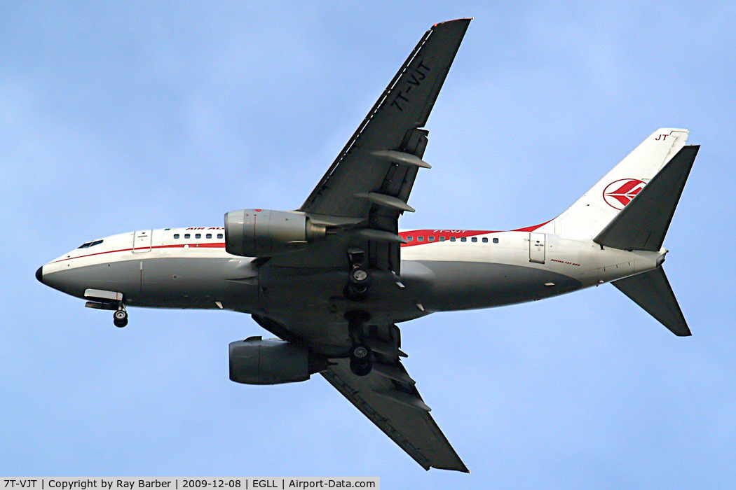 7T-VJT, 2002 Boeing 737-6D6 C/N 30546, Boeing 737-6D6 [30546] (Air Algerie) Home~G 08/12/2009.