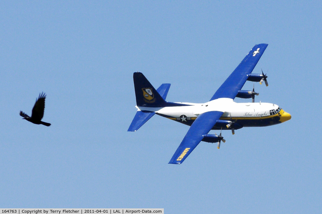 164763, 1992 Lockheed C-130T Hercules C/N 382-5258, Beware of birds imitating 'Fat Albert' performing his routine at 2011 Sun n Fun Lakeland , Florida