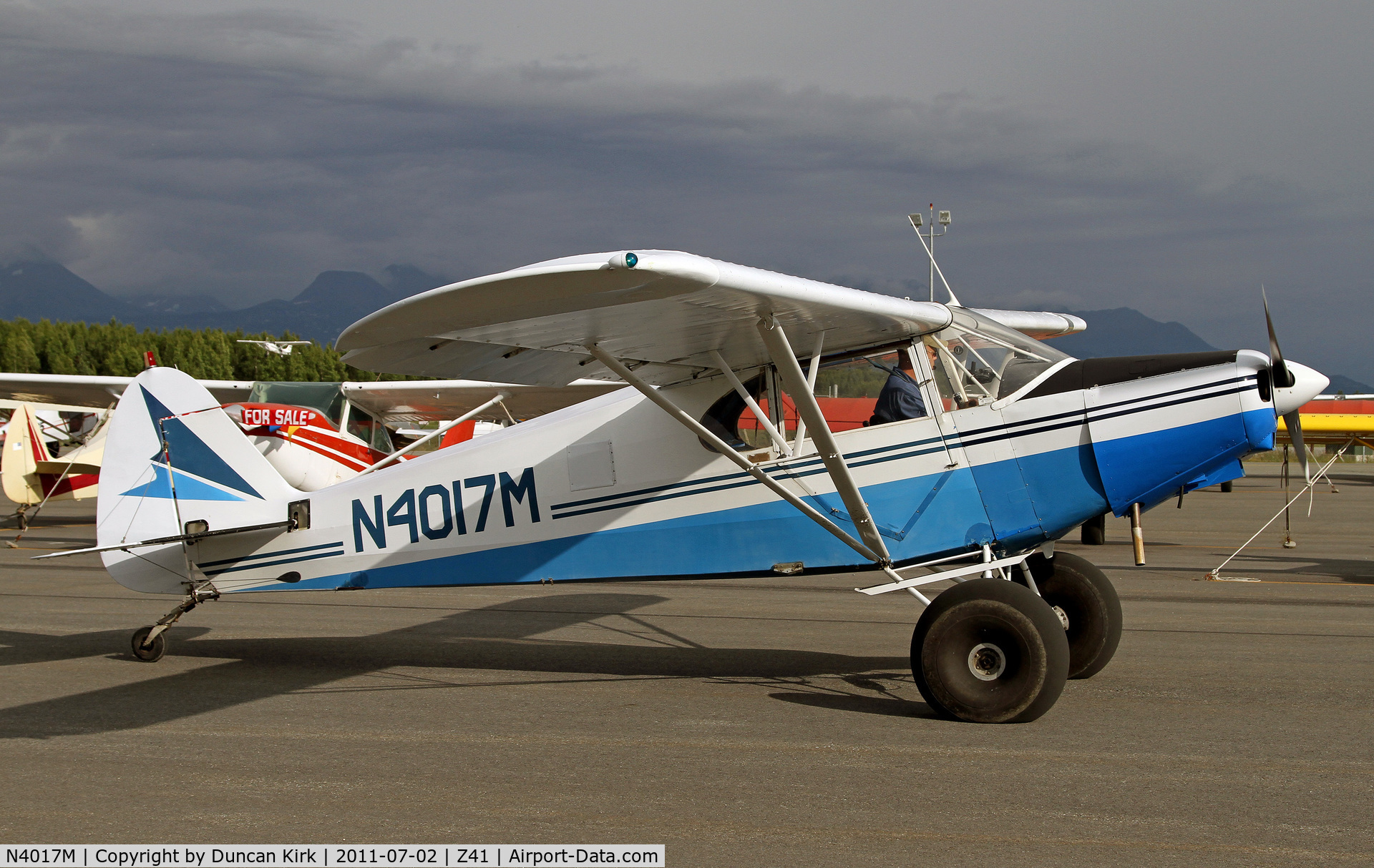 N4017M, 1947 Piper PA-12 Super Cruiser C/N 12-2895, Scads of planes everywhere!!!  You must go visit!?