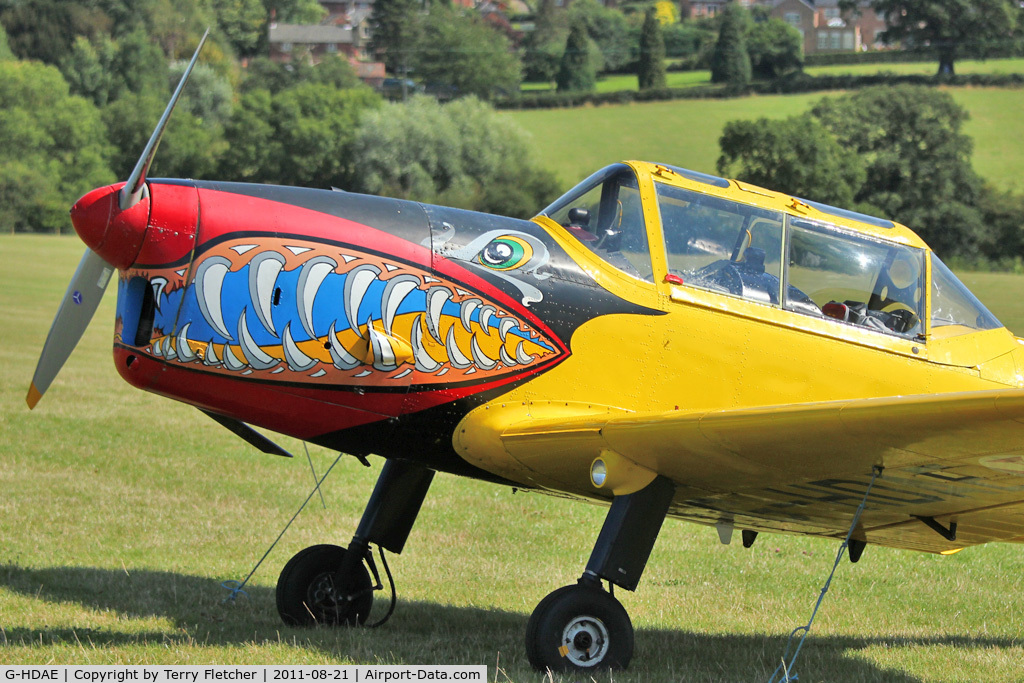 G-HDAE, 1951 De Havilland DHC-1 Chipmunk T.20 C/N C1/0280, Guest at the 80th Anniversary De Havilland Moth Club International Rally at Belvoir Castle , United Kingdom