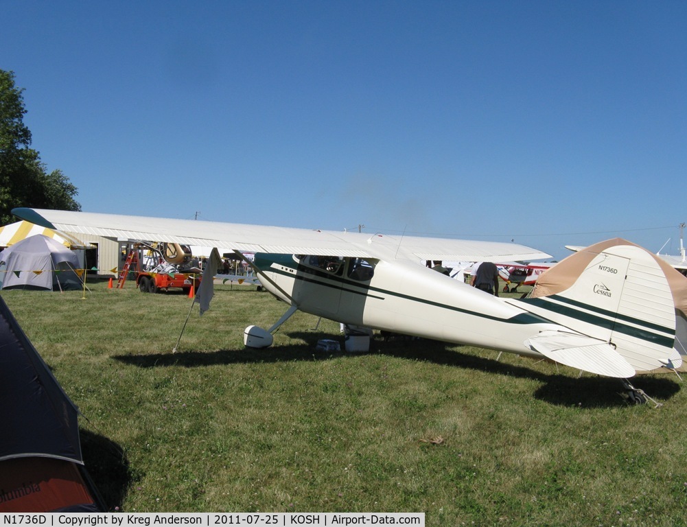 N1736D, 1951 Cessna 170A C/N 20179, EAA AirVenture 2011