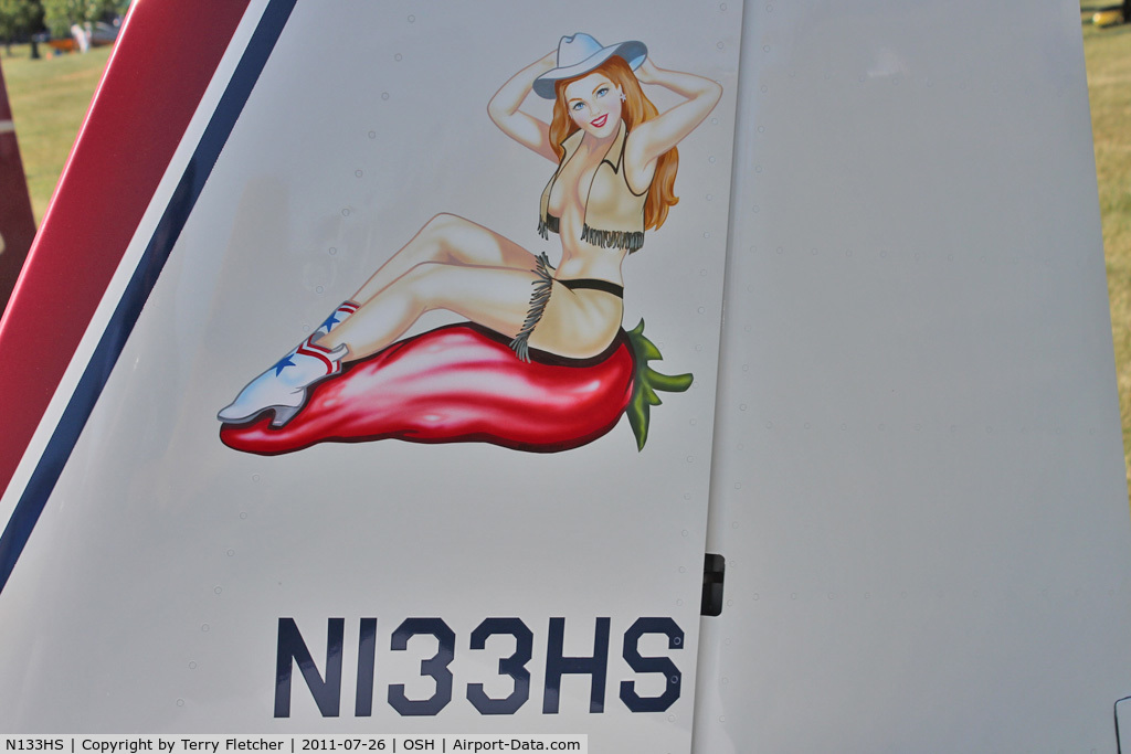 N133HS, 2000 Vans RV-8 C/N 80133, Tail motif on 2000 Grover Ronald D RV8, c/n: 80133 at 2011 Oshkosh