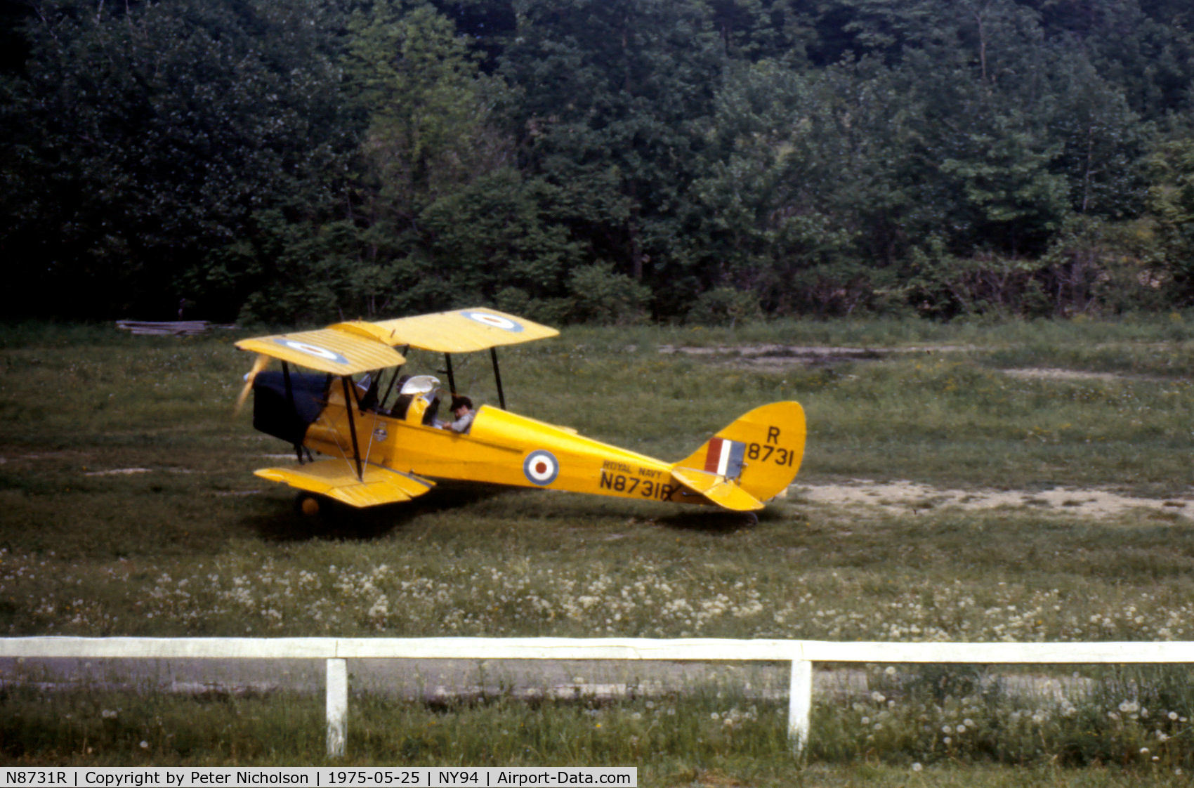 N8731R, 1941 De Havilland Canada DH-82C Tiger Moth C/N DHC1848, DH-82C Tiger Moth of Cole Palen's Rhinebeck collection in action at the 1975 Airshow.