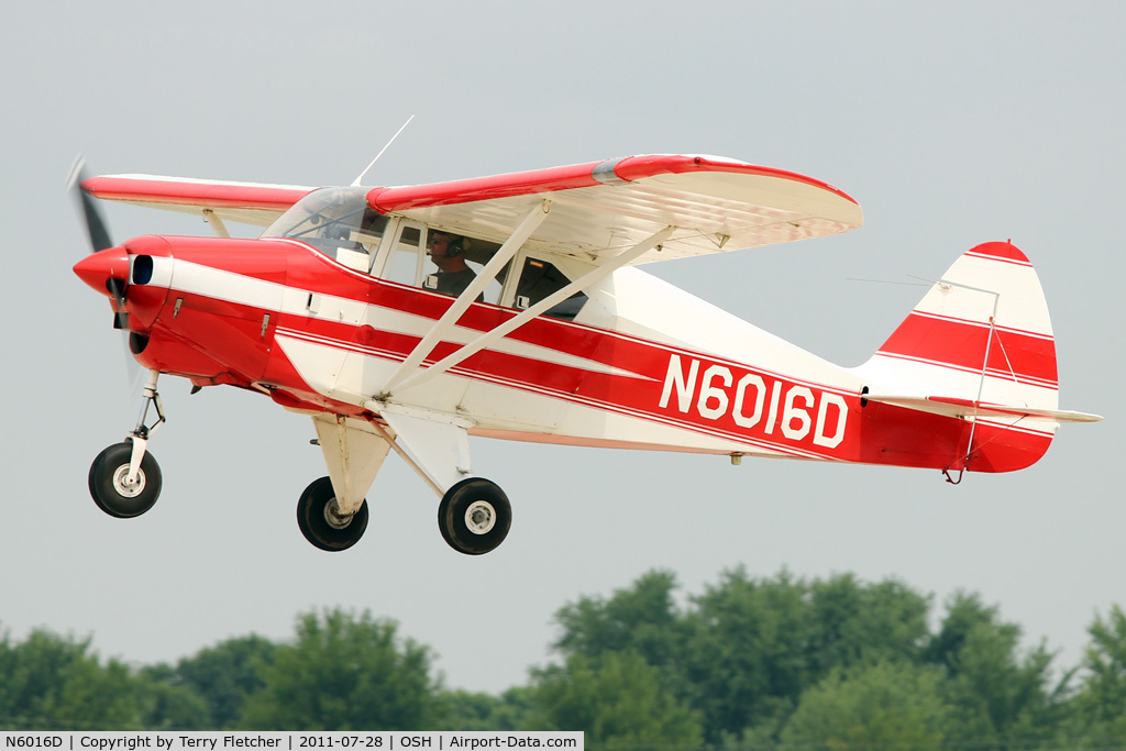 N6016D, 1956 Piper PA-22-150 Tri-Pacer C/N 22-4669, at 2011 Oshkosh