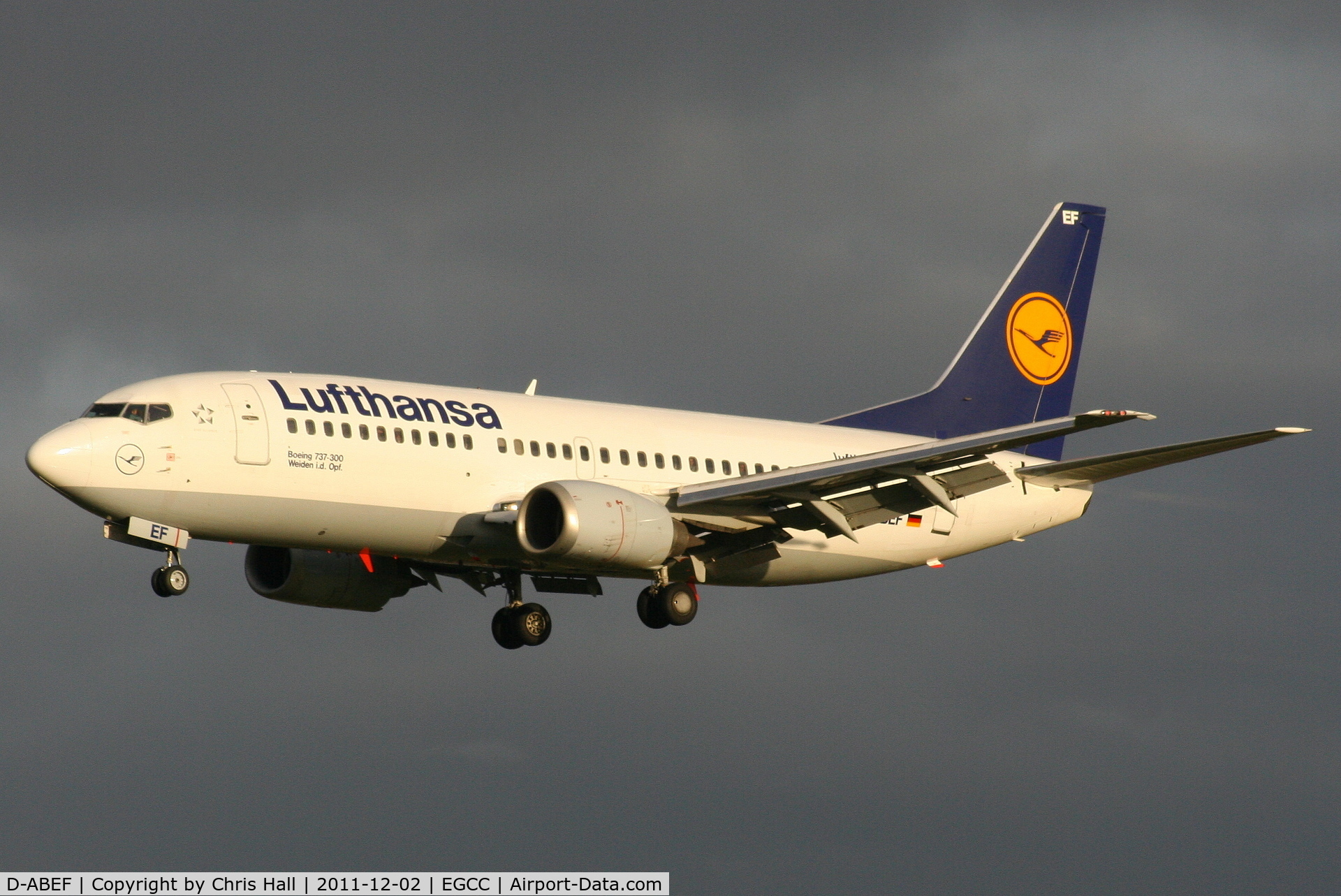 D-ABEF, 1991 Boeing 737-330 C/N 25217, Lufthansa