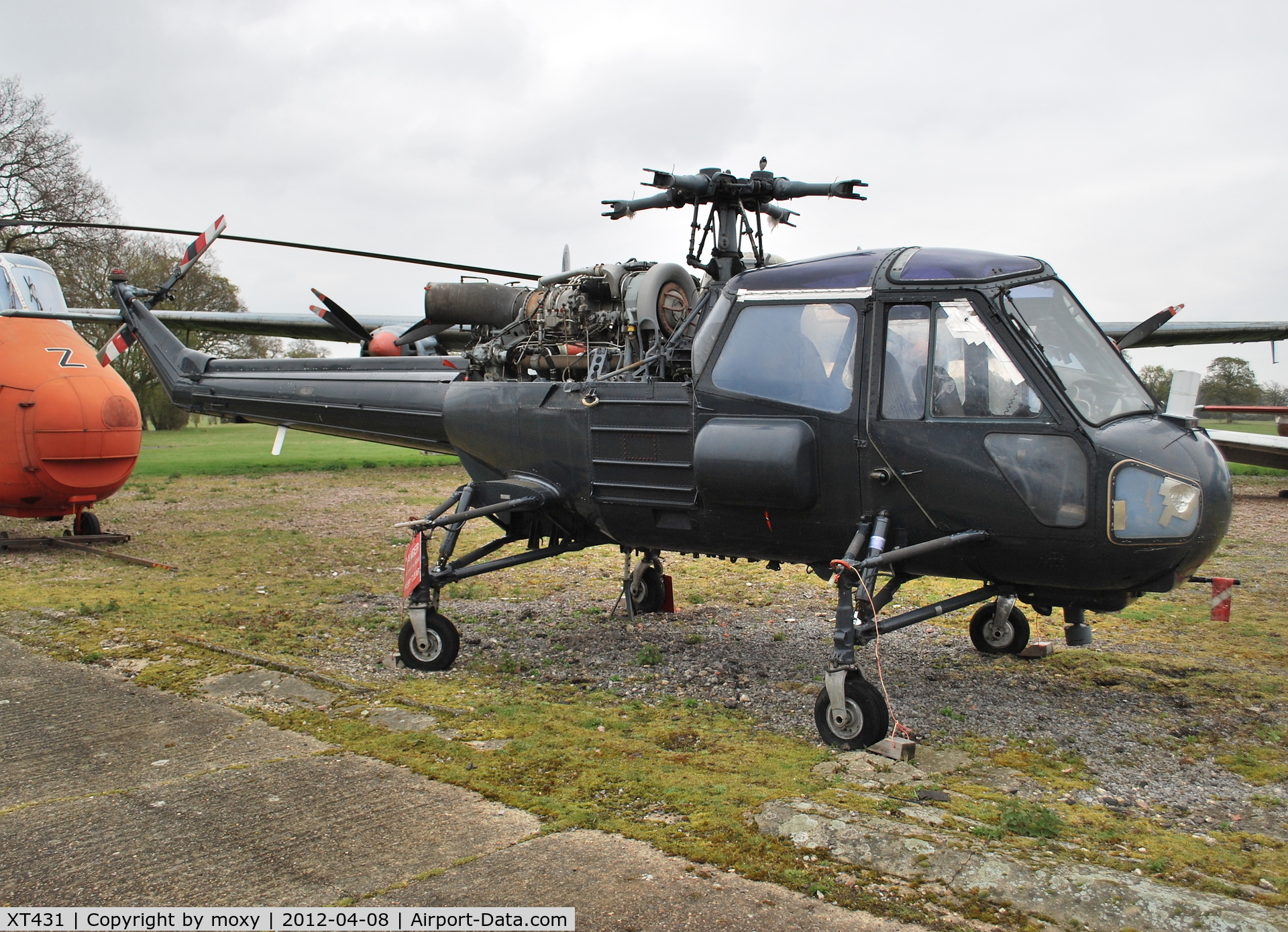 XT431, 1965 Westland Wasp HAS.1 C/N F9601, Westland Wasp HAS.1 at the Gatwick Aviation Museum. Marked as XS463