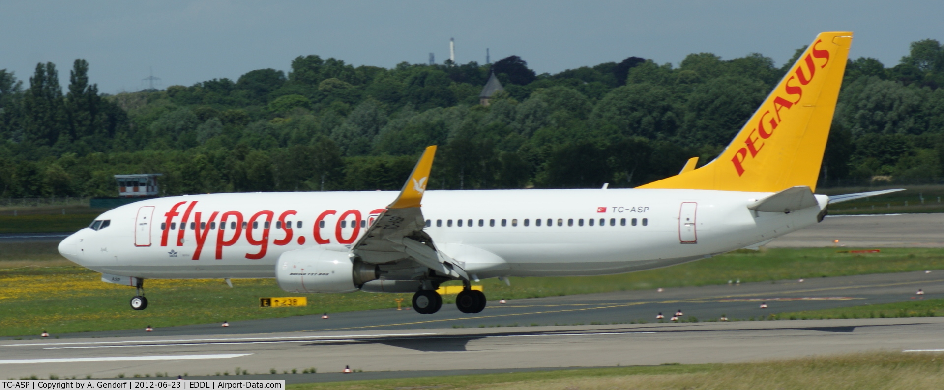 TC-ASP, 2011 Boeing 737-82R C/N 40011, Pegasus Airlines, on Rwy 23L at Düsseldorf Int´l (EDDL)