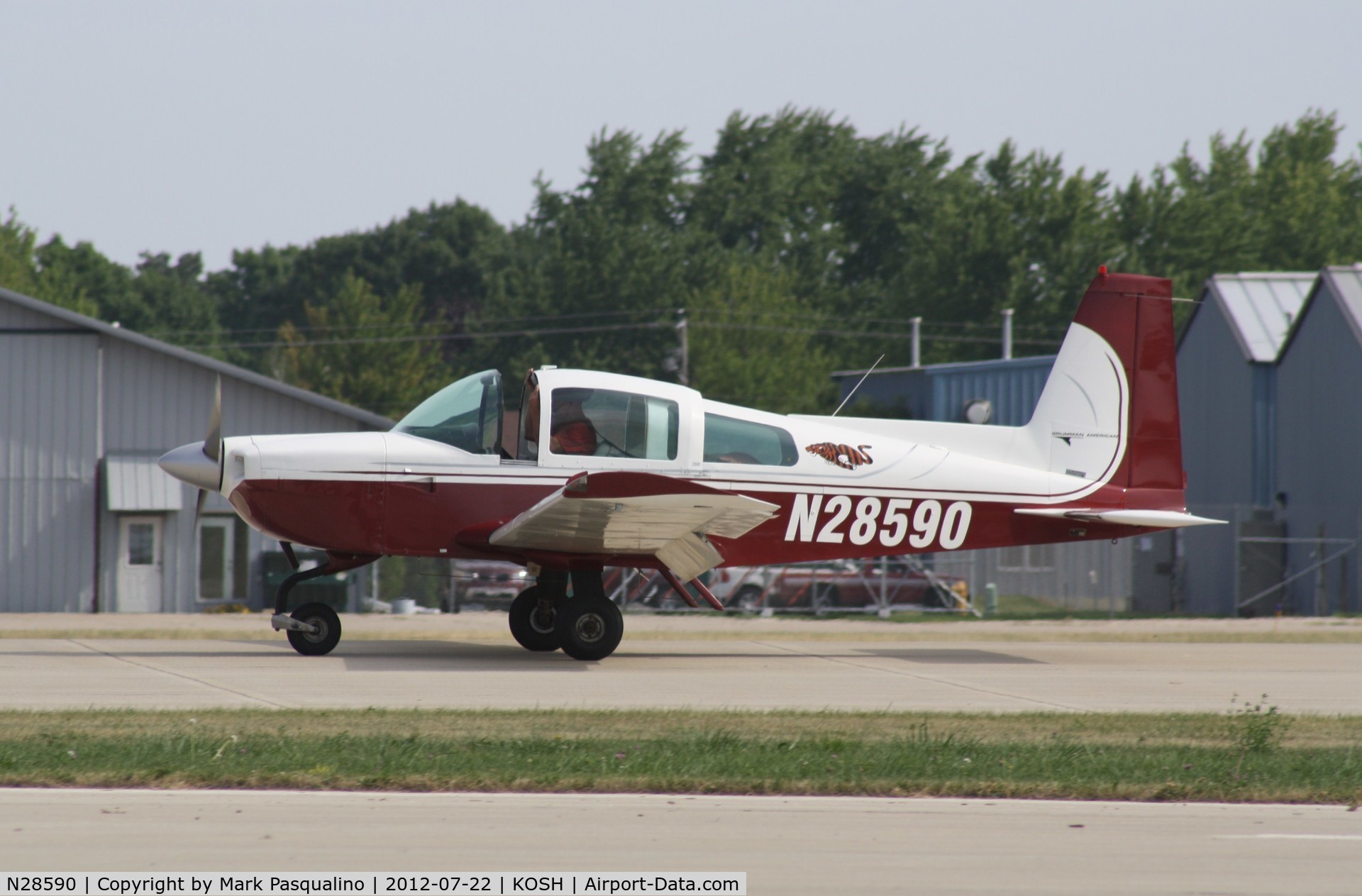 N28590, Grumman American AA-5B Tiger C/N AA5B0695, AA-5B
