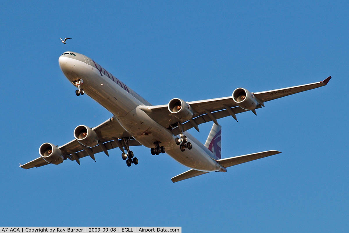 A7-AGA, 2006 Airbus A340-642 C/N 740, Airbus A340-642 [740] (Qatar Airways) Home~G 08/09/2009. The seagull is outpacing the aircraft.