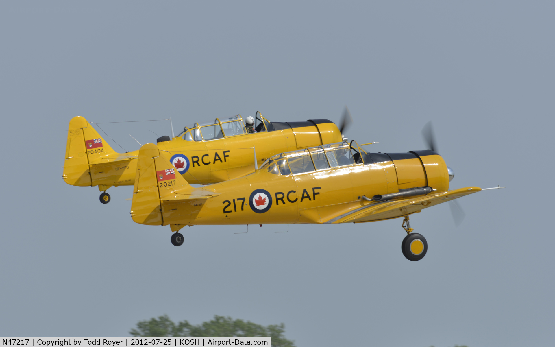 N47217, 1951 Canadian Car & Foundry Harvard MK IV C/N CCF4-8, Airventure 2012