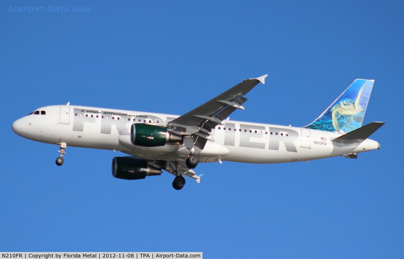 N210FR, 2011 Airbus A320-214 C/N 4668, Frontier Sheldon the Sea Turtle A320