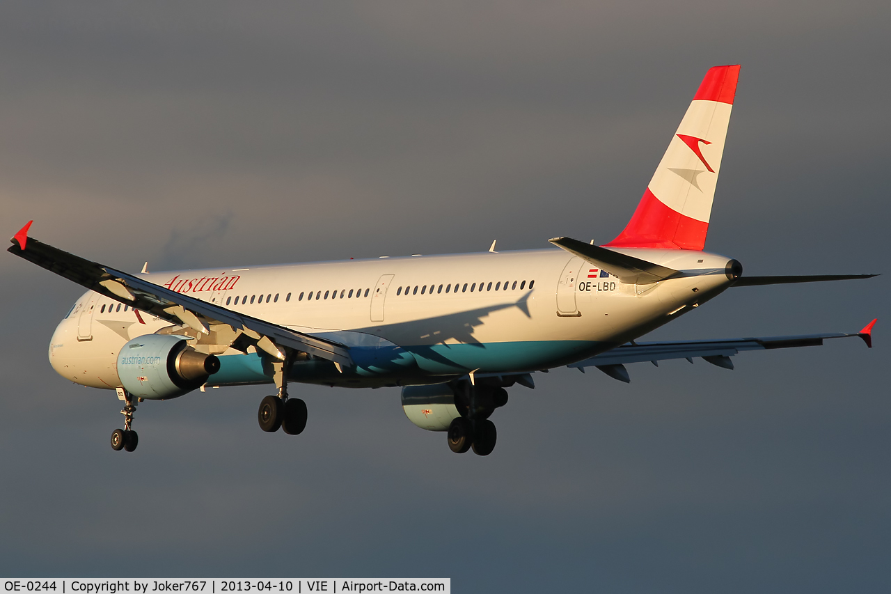 OE-0244, Schneider Grunau Baby IIa C/N Not found OE-0244, Austrian Airlines