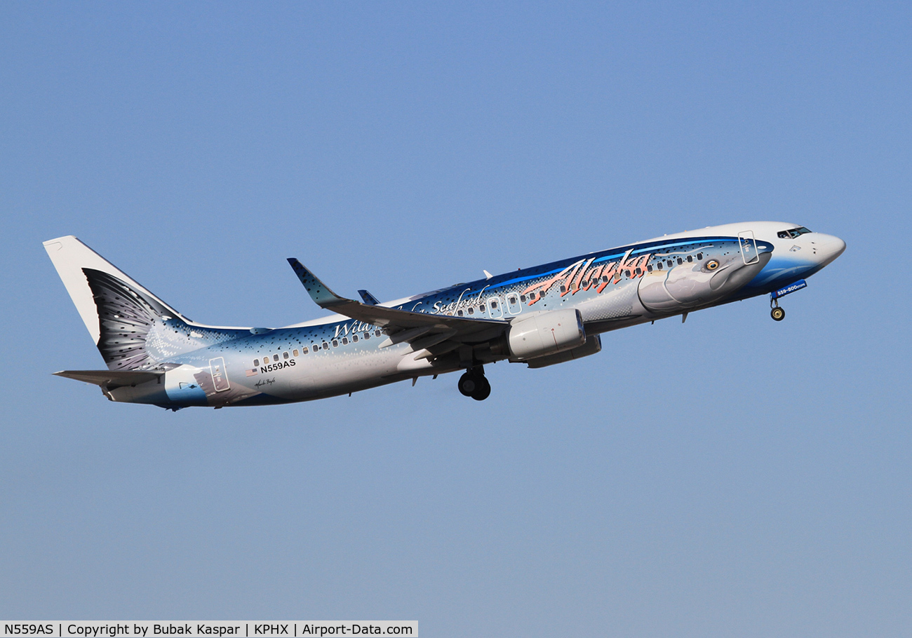 N559AS, 2006 Boeing 737-890 C/N 35178, Sky Harbor