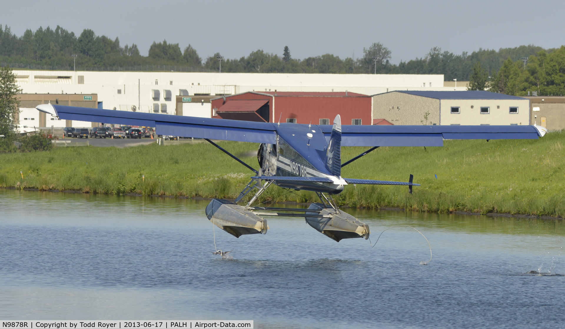 N9878R, 1956 De Havilland Canada DHC-2 MK. I(L20A) C/N 1135, New definition of bird strike, bird getting whipped by rope attached to left float