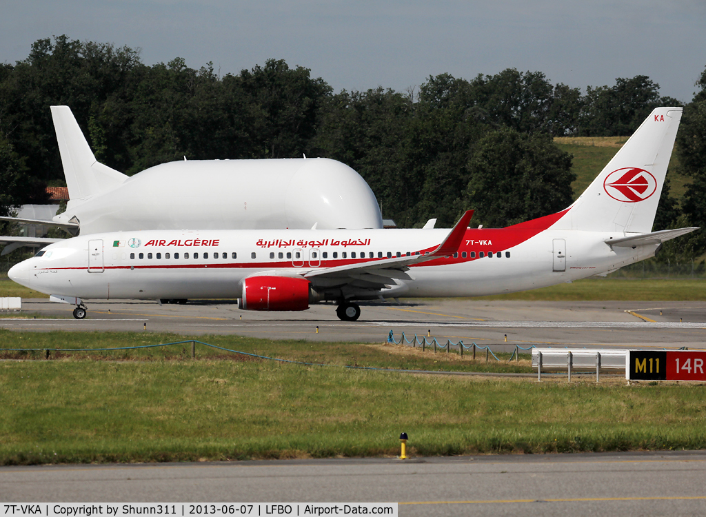 7T-VKA, 2005 Boeing 737-8D6 C/N 34164, Lining up rwy 14R with additional anniversary patch...