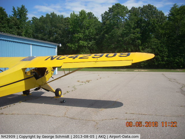N42909, 1945 Piper J3C-65 Cub C/N 15244, Numbers on Wing
