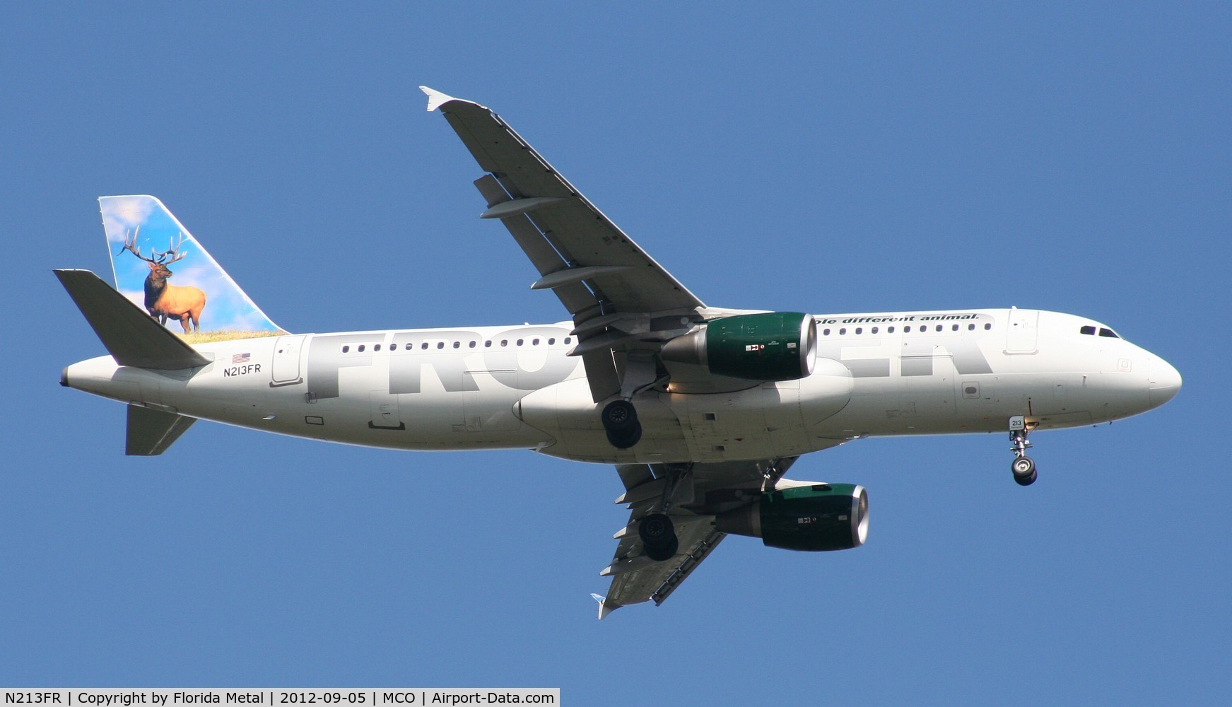 N213FR, 2011 Airbus A320-214 C/N 4704, Frontier Montana the Elk A320