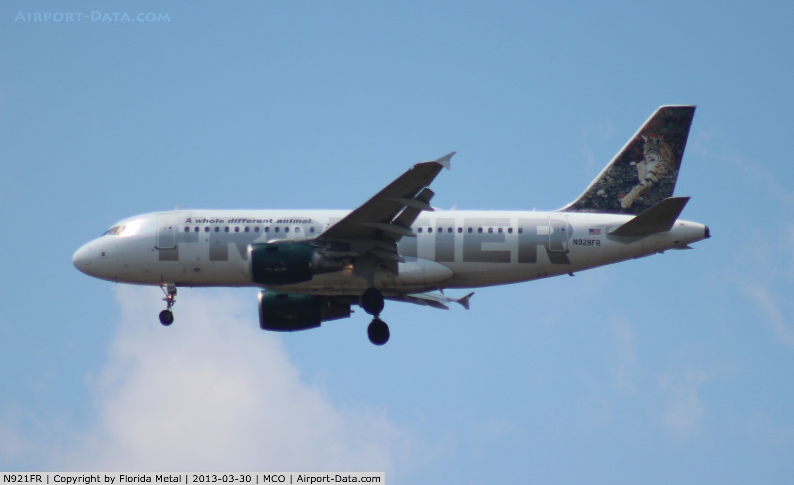 N921FR, 2003 Airbus A319-111 C/N 2010, Frontier Fritz Mountain Goat A319