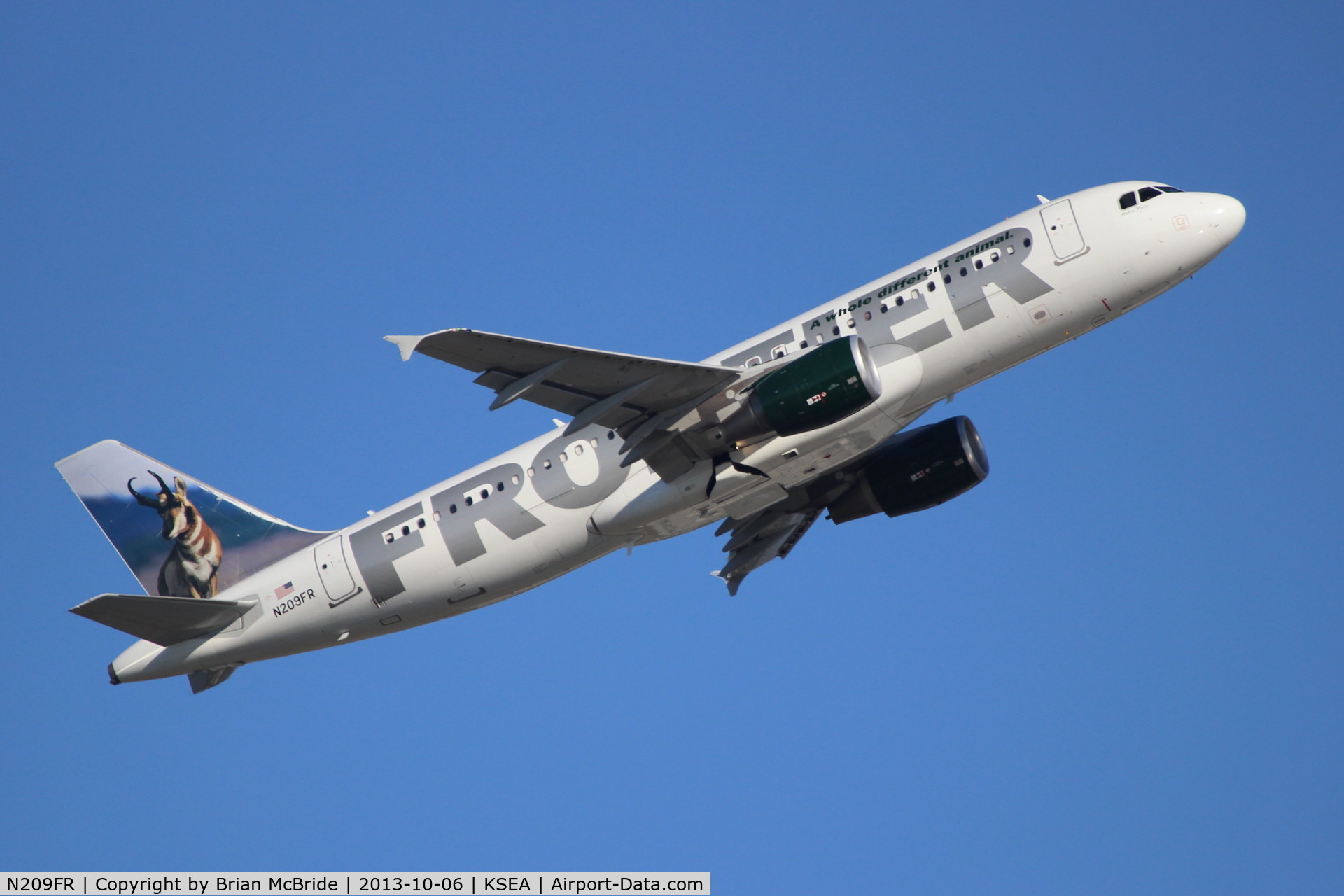 N209FR, Airbus A320-214 C/N 4641, Frontier Airlines. A320-214. N209FR cn 4641. Seattle Tacoma - International (SEA KSEA). Image © Brian McBride. 06 October 2013