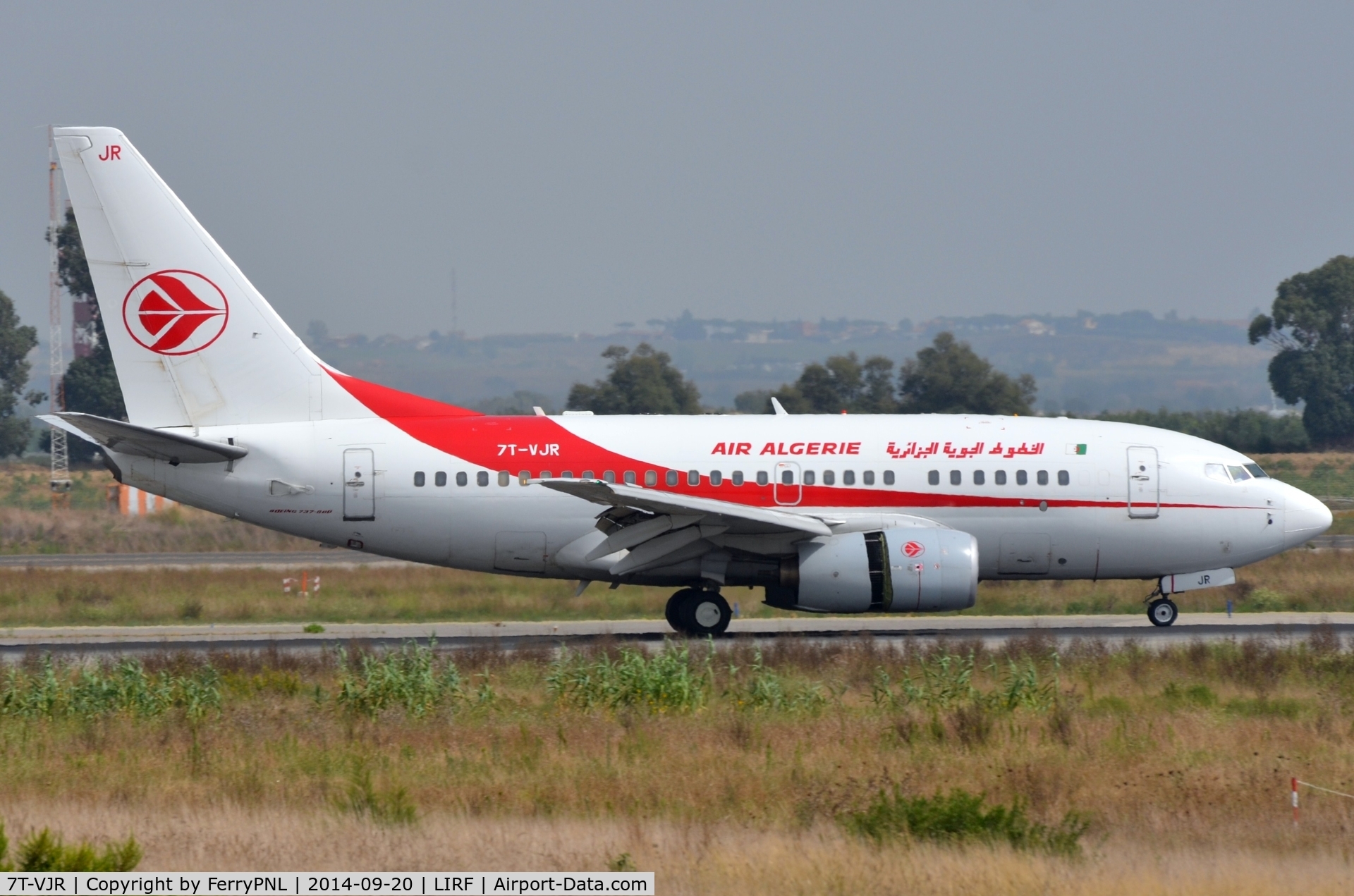 7T-VJR, 2002 Boeing 737-6D6 C/N 30545, It realy looks short in the colour of Air Algerie.