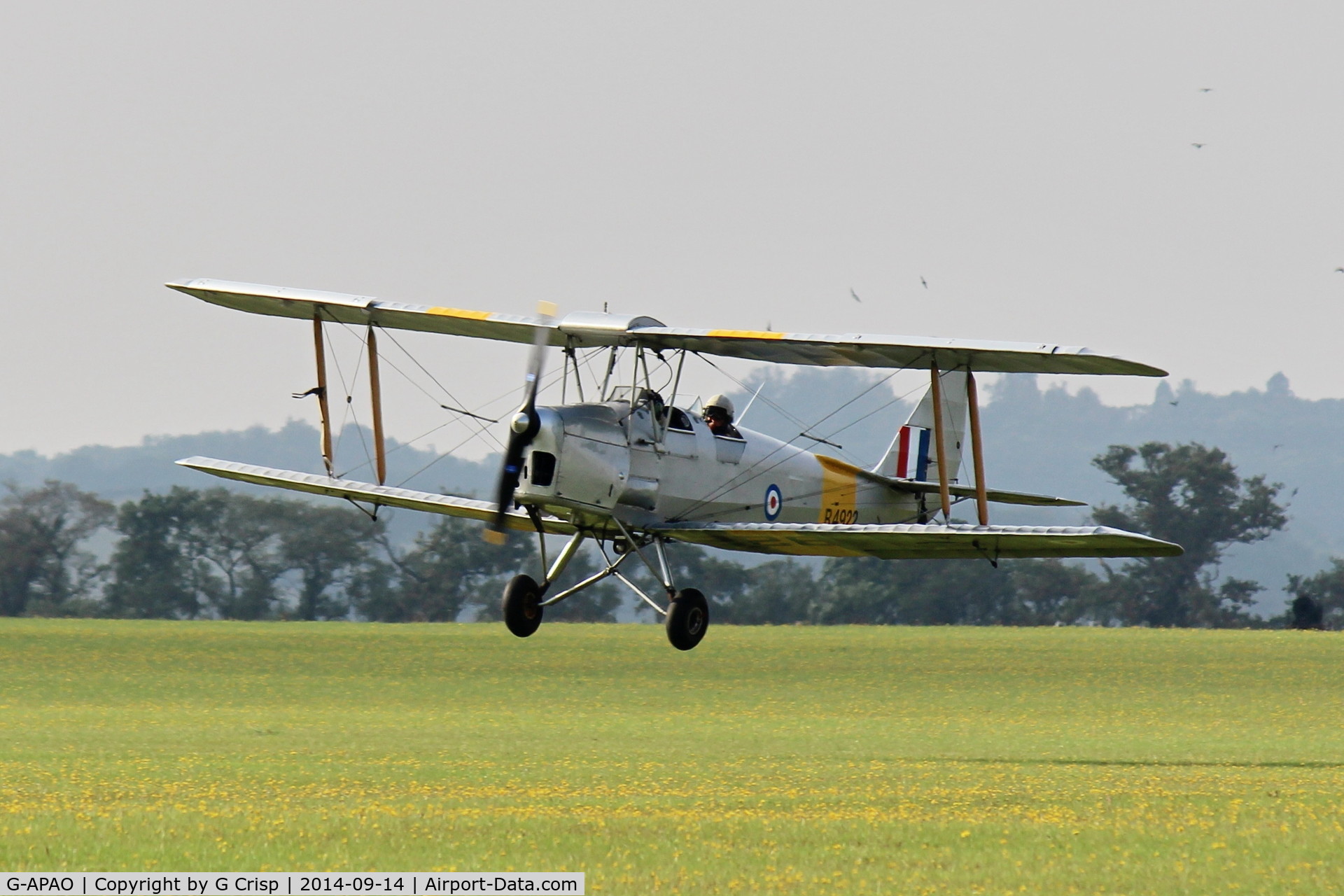 G-APAO, 1940 De Havilland DH-82A Tiger Moth II C/N 82845, Duxford Air Show 2014