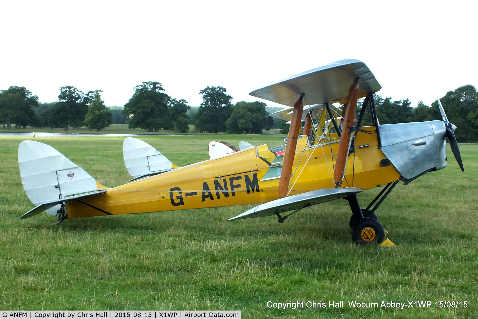 G-ANFM, 1941 De Havilland DH-82A Tiger Moth II C/N 83604, International Moth Rally at Woburn Abbey 15/08/15