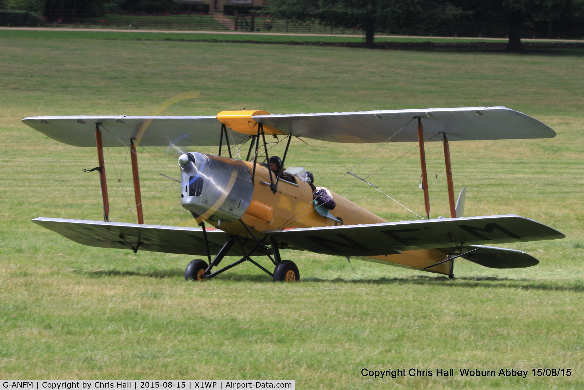 G-ANFM, 1941 De Havilland DH-82A Tiger Moth II C/N 83604, International Moth Rally at Woburn Abbey 15/08/15