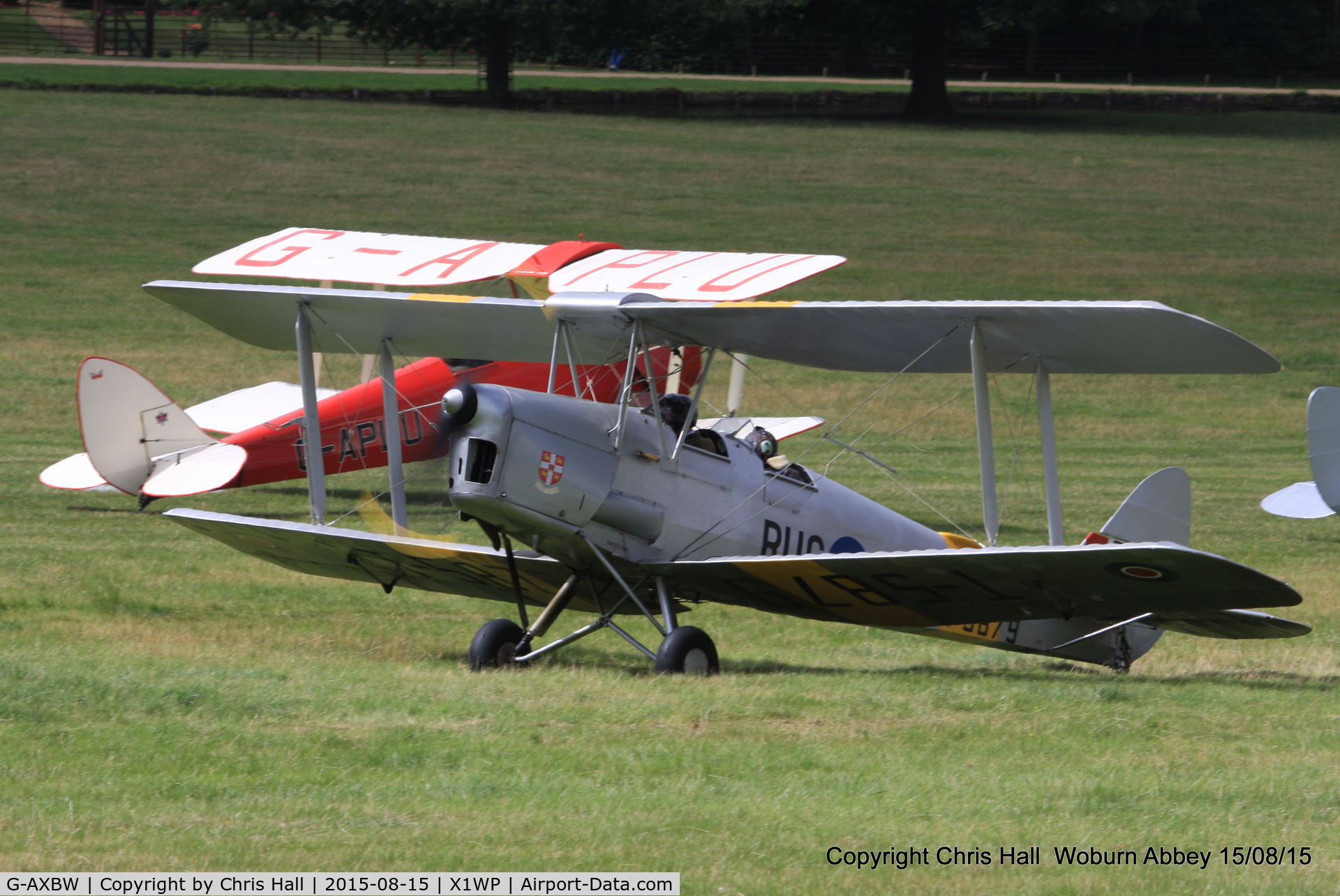 G-AXBW, 1940 De Havilland DH-82A Tiger Moth II C/N 83595, International Moth Rally at Woburn Abbey 15/08/15