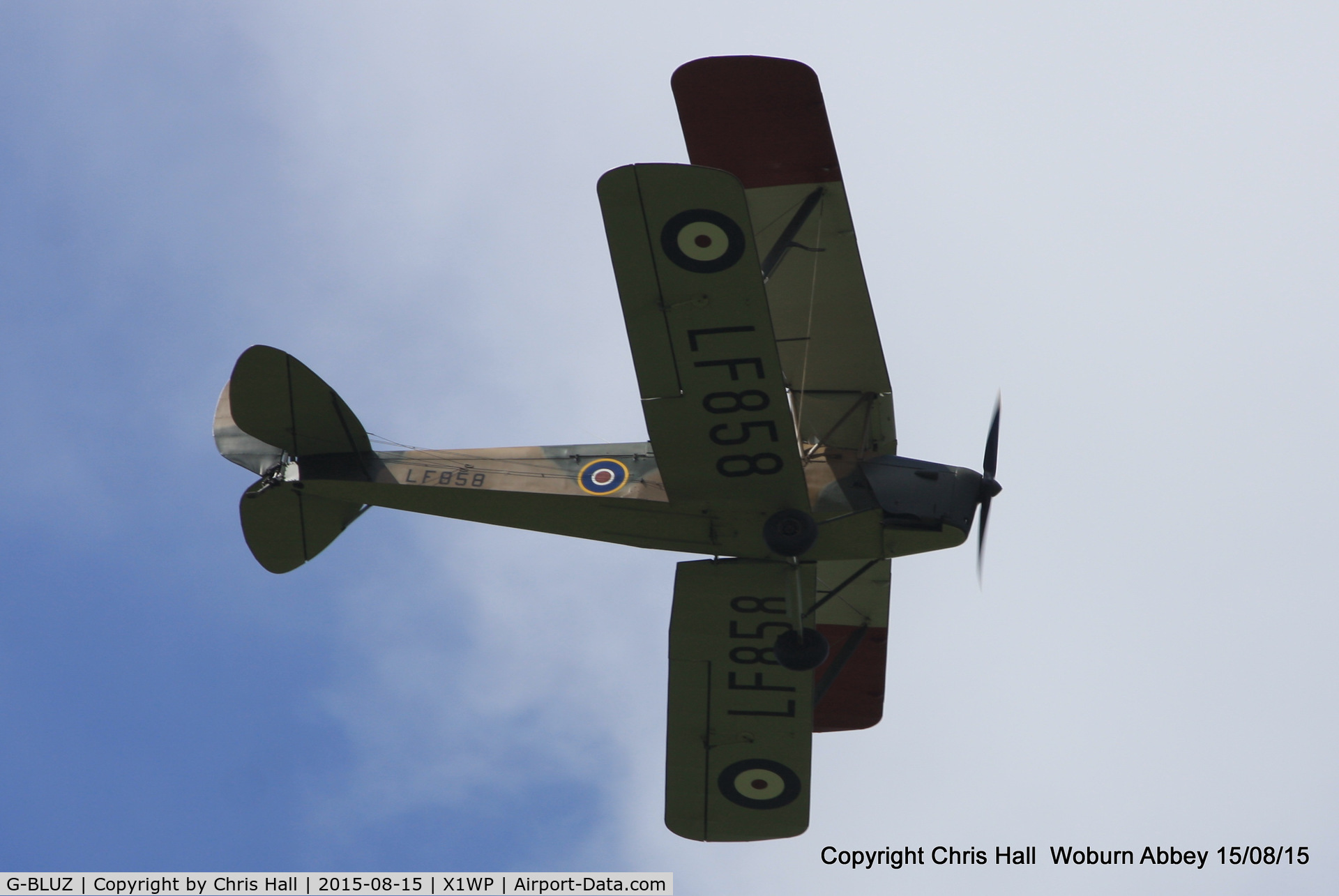 G-BLUZ, 1944 De Havilland DH.82B Queen Bee C/N 1435, International Moth Rally at Woburn Abbey 15/08/15