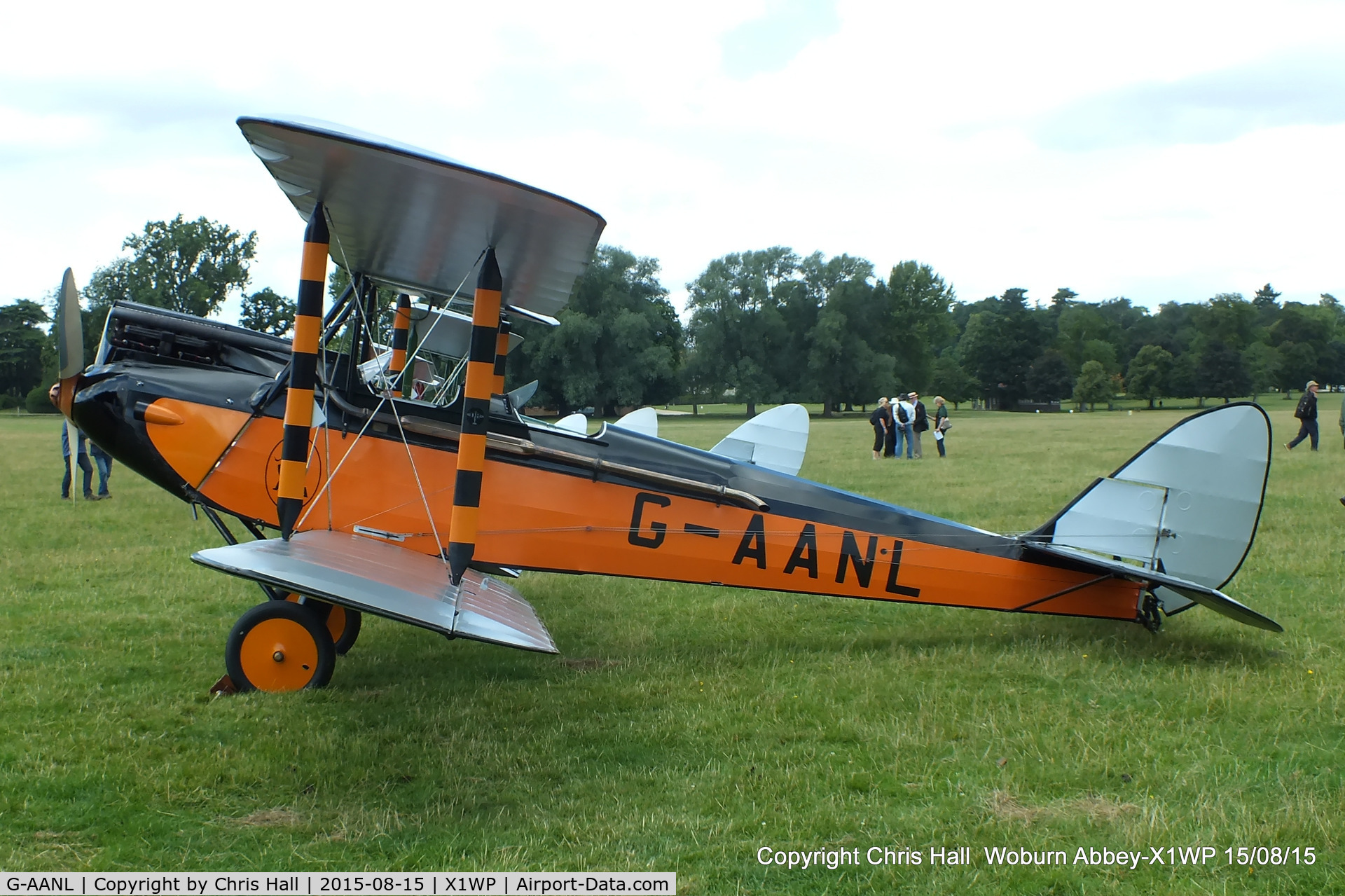 G-AANL, 1929 De Havilland DH.60M Moth C/N 1446, International Moth Rally at Woburn Abbey 15/08/15