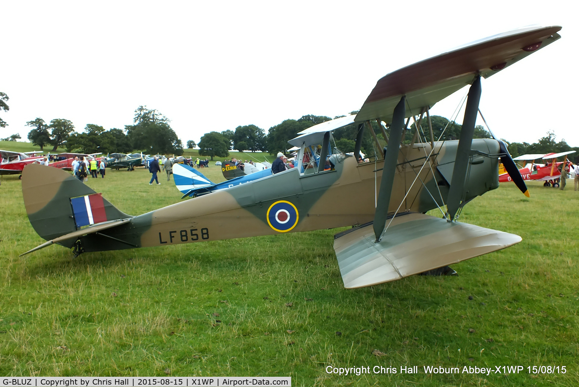 G-BLUZ, 1944 De Havilland DH.82B Queen Bee C/N 1435, International Moth Rally at Woburn Abbey 15/08/15