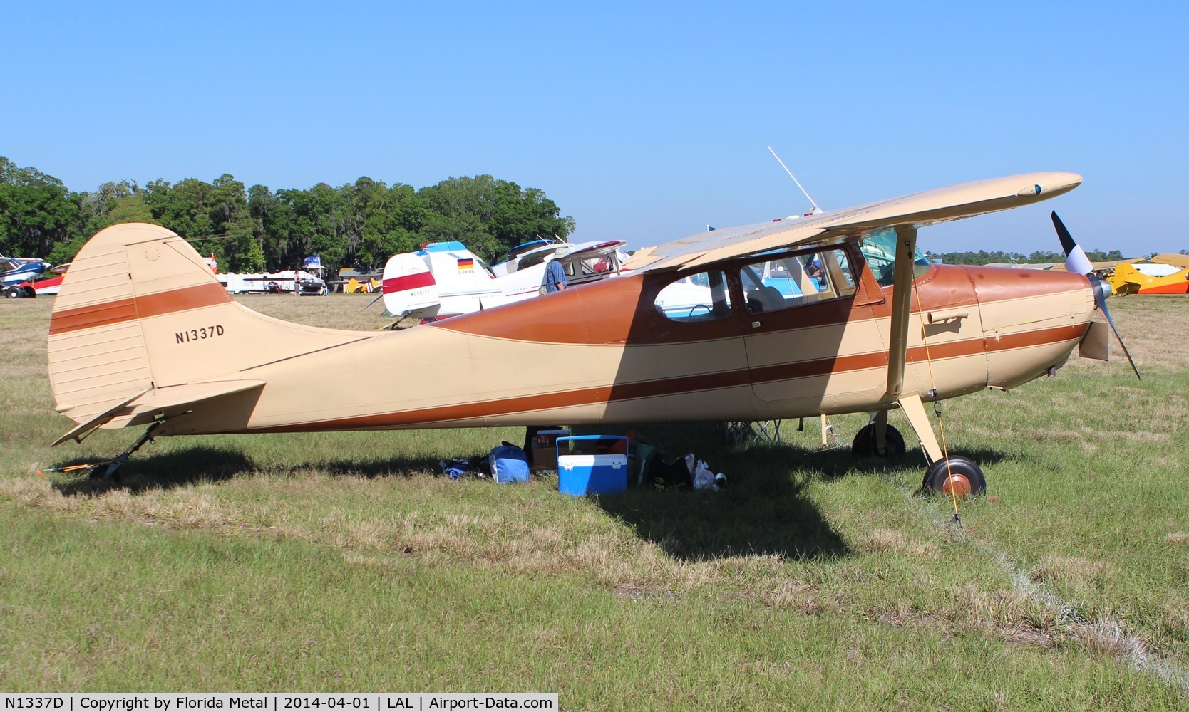 N1337D, 1951 Cessna 170A C/N 19913, Cessna 170A