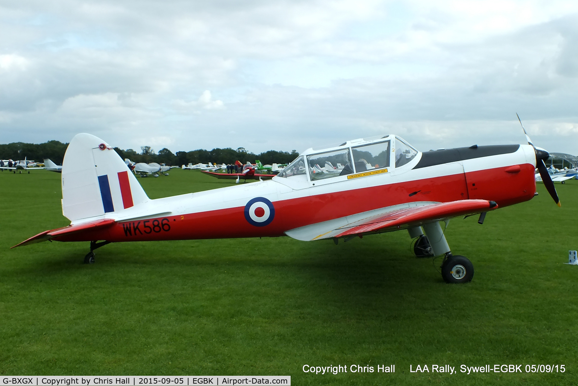 G-BXGX, 1952 De Havilland DHC-1 Chipmunk T.10 C/N C1/0609, at the LAA Rally 2015, Sywell