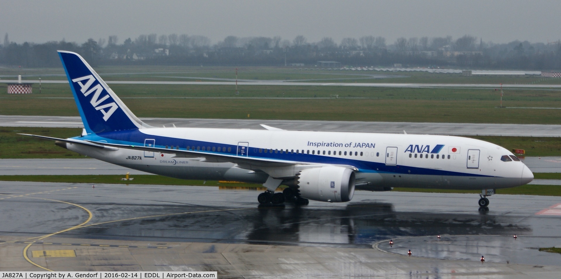 JA827A, 2013 Boeing 787-8 Dreamliner C/N 34509, ANA, is here shortly after landing at Düsseldorf Int'l(EDDL)